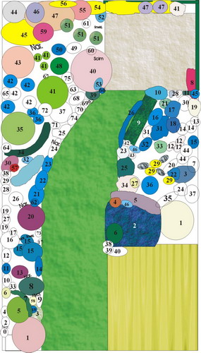 Tuin indeling